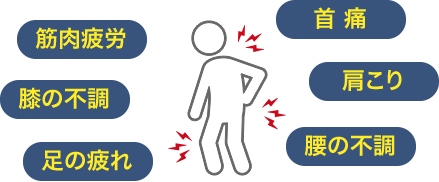 筋肉疲労、膝の不調、足の疲れ、首痛、肩こり、腰の不調