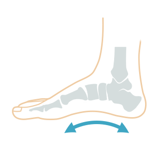 アーチサポート