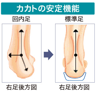 カカトの安定機能