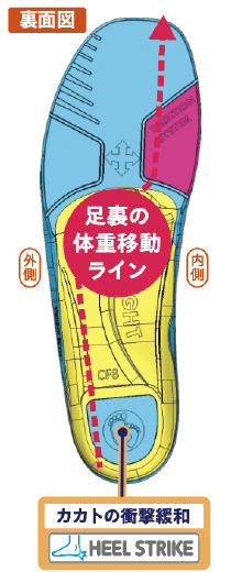 楽登山(裏面図)